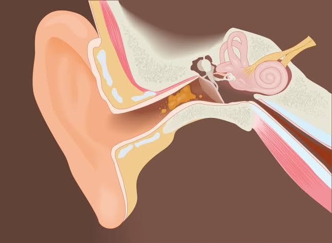 Why Do We Have Ear Wax? The Real Reason Your Body Makes It 2026