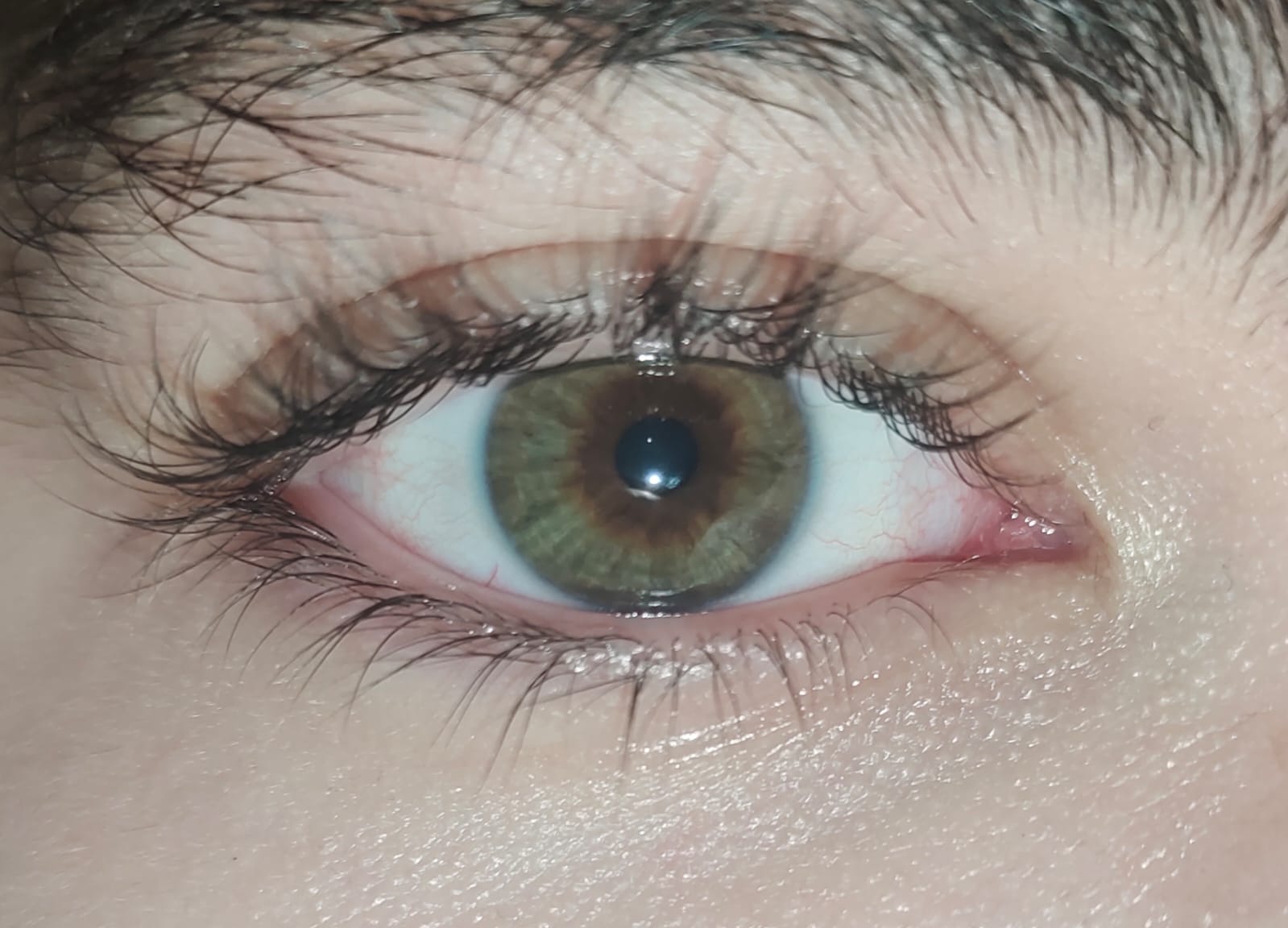 Why Do Men Have Longer Eyelashes? Genetics, Hormones and Facts 2026