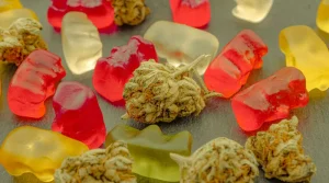 Strongest CBD Gummies for Sleep and Nighttime Anxiety: A Simple Guide