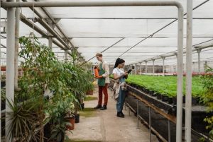 From Seed To Scale: The Technology Behind Modern Growing