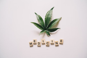 CBD vs. THC: Understanding the Difference and Their Uses