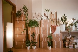 International Relocation Services: Unifying Tax, Residency, and Lifestyle for Global Families